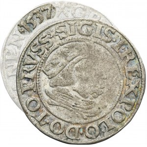 Sigismund I the Old, Groschen Danzig 1537 - RARE, PRVSS