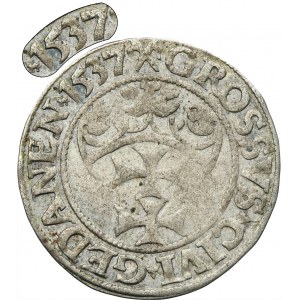 Sigismund I the Old, Groschen Danzig 1537 - RARE, PRVSS