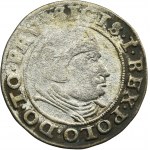 Sigismund I the Old, Groschen Danzig 1540 - RARE, GRDANEN