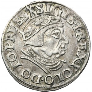 Sigismund I the Old, 3 Groschen Danzig 1538 - PRVSS
