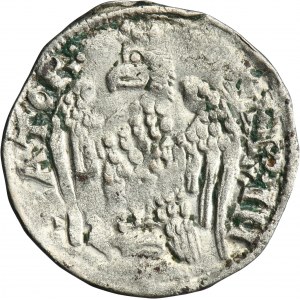 Italy, Republic of Pisa, Federico II, Bianco undated