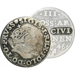 Sigismund I the Old, 3 Groschen Danzig 1546 - UNLISTED