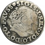 Sigismund I the Old, 3 Groschen Danzig 1546 - UNLISTED