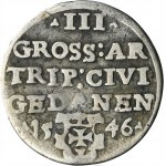 Sigismund I the Old, 3 Groschen Danzig 1546 - UNLISTED