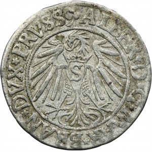 Duchy of Prussia, Albrecht Hohenzollern, Groschen Königsberg 1540 - PRVSS