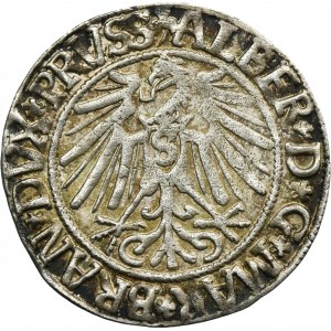 Duchy of Prussia, Albrecht Hohenzollern, Groschen Königsberg 1543 - PRVSS