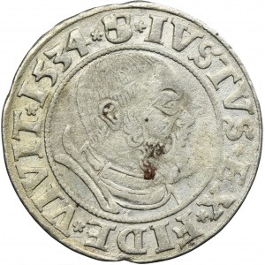 Duchy of Prussia, Albrecht Hohenzollern, Groschen Königsberg 1534 - PRVS