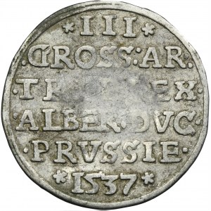 Duchy of Prussia, Albrecht Hohenzollern, 3 Groschen Königsberg 1537