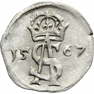 Sigismund II August, 2 Denarius Vilnius 1567