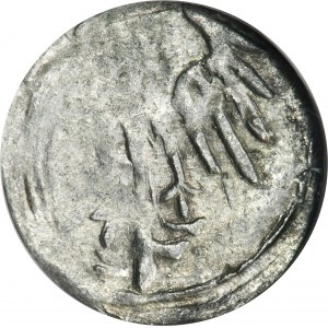 Silesia, County of Glatz, Georg von Podiebrad, Heller Glatz 1457-1465