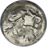 Silesia, County of Glatz, Georg von Podiebrad, Heller Glatz 1457-1465 - PCGS MS63