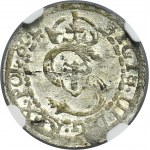 Duchy of Courland, Friedrich and Wilhelm Kettler, Schilling Mitau 1607 - NGC MS63 - RARE