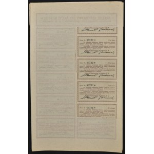 Polskie Towarzystwo Handlowe S.A., 200 koron 1919