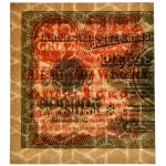1 grosz 1924 - AD ❉ - lewa połowa - PMG 64 EPQ
