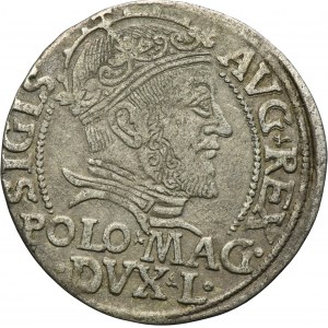 Sigismund II August, Groschen Vilnius 1547 - L/LITVA