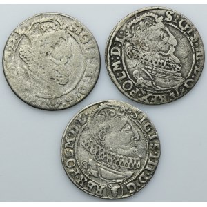 Lot, Sigismund III Vasa, 6 Groschen Krakau (3 pcs.)