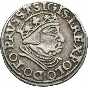 Sigismund I the Old, 3 Groschen Danzig 1538 - PRVSS