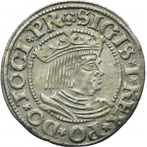 Sigismund I the Old, Groschen Danzig 1534 - PR