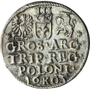 Sigismund III. Vasa, Trojak Kraków 1605