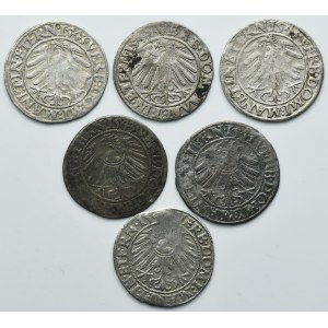 Lot, Silesia, Duchy of Liegnitz-Brieg-Wohlau, Friedrich II, Grochen Liegnitz (6 pcs.)