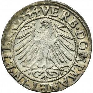 Silesia, Duchy of Liegnitz-Brieg-Wohlau, Friedrich II, Groschen Leignitz 1544 - RARE