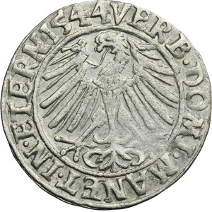 Silesia, Duchy of Liegnitz-Brieg-Wohlau, Friedrich II, Groschen Leignitz 1544 - RARE