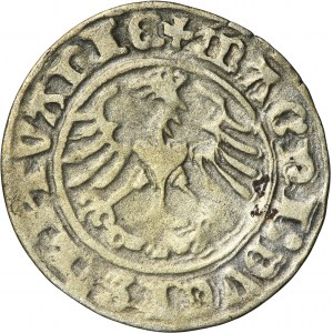 Sigismund I the Old, Halfgroat Vilnius 1511