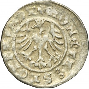 Sigismund I the Old, 1/2 Groschen Krakau 1509