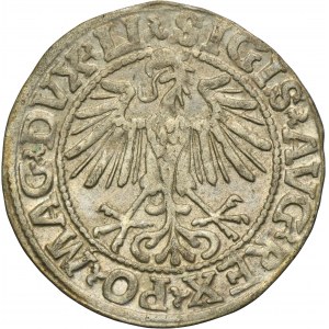 Sigismund II August, 1/2 Groschen Vilnius 1548 - LI/LITVA