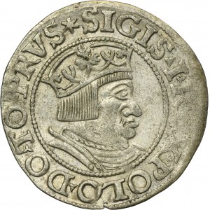 Sigismund I the Old, Groschen Danzig 1535 - PRVS