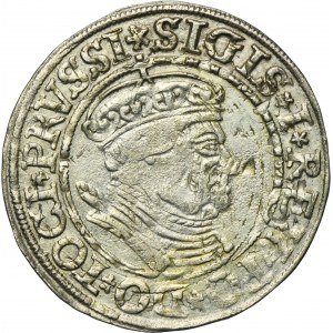 Sigismund I the Old, Groschen Thorn 1534 - PRVSSI/PRVSSIE