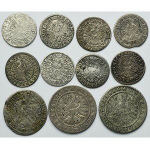 Lot, Duchy of Liegnitz-Brieg-Wohlau, Kreuzer (11 pcs.)