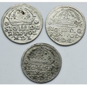 Lot, Sigismund III Vasa, Groschen (3 pcs.)