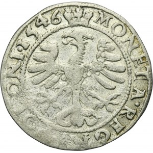Sigismund I the Old, Groschen Krakau 1546 ST - VERY RARE