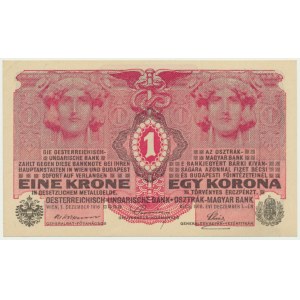 Austria, 1 Krone 1916