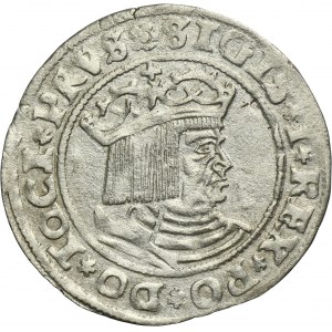 Sigismund I the Old, Groschen Thorn 1529 - PRVS/PRVSS