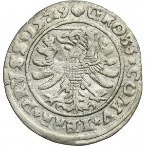 Sigismund I the Old, Groschen Thorn 1529 - PRVS/PRVSS