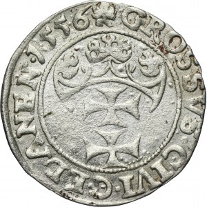 Sigismund II August, Groschen Danzig 1556 - PRVSSI