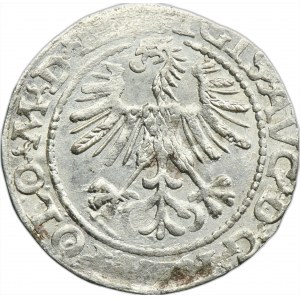 Sigismund II August, 1/2 Groschen Vilnius 1564 - L/LITV