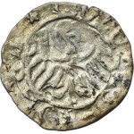 Silesia, Duchy of Kosel, Konrad VII the White, Heller Kosel - RARE