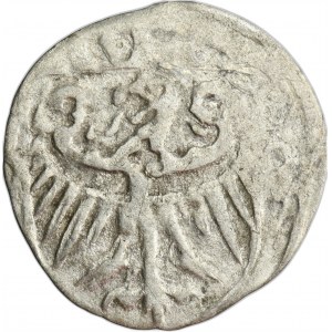 Silesia, Duchy of Neisse, Konrad I, Heller Neisse