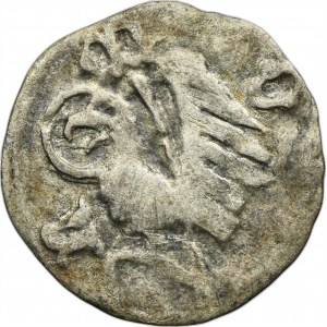 Silesia, Duchy of Oels, Konrad V or Konrad VII, Heller Oels