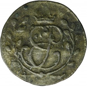 L'occupation russe de la Prusse, Elisabeth, Shelagh Königsberg 1760