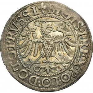 Sigismund I the Old, Groschen Elbing 1540 - PRVSSI