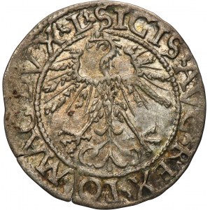 Sigismund II August, 1/2 Groschen Vilnius 1562 - L/LITV