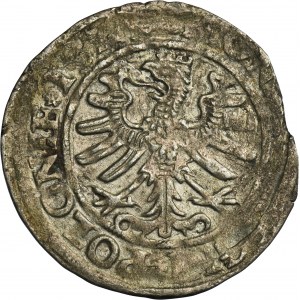 Sigismund I the Old, Groschen Krakau 1528