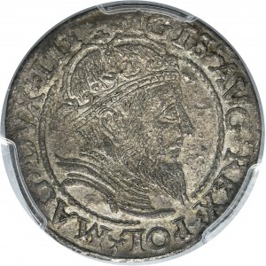 Sigismund II August, Groschen Vilnius 1559 - LIT/LITV - PCGS AU55