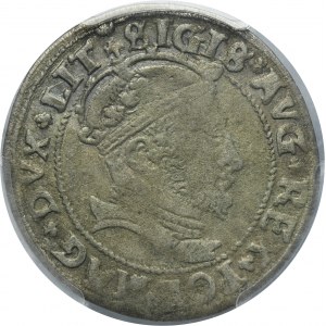 Sigismund II August, Groschen Vilnius 1546 - LIT/LITVA - PCGS VF20