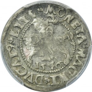 Sigismund II August, 1/2 Groschen Vilnius 1546 - L/LITV - PCGS XF DETAIL