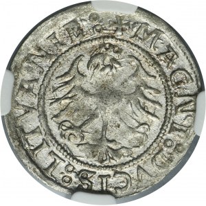 Sigismund I the Old, Half groschen Vilnius 1521 - NGC AU58